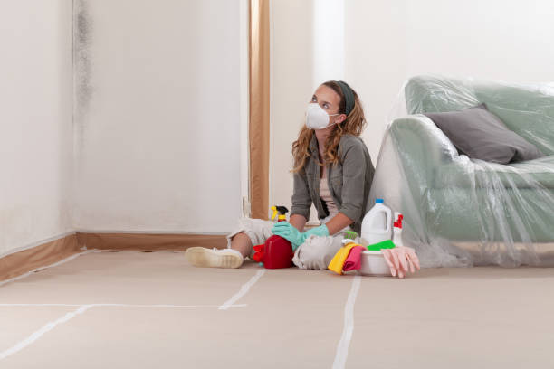 Reliable Mold Inspection And Testing contractor in Holly Springs, NC by Mold Remediation HQ